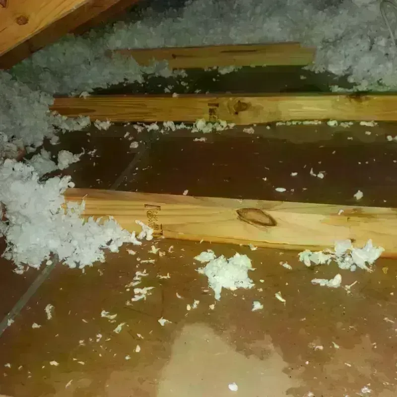 Attic Water Damage in North Baltimore, OH