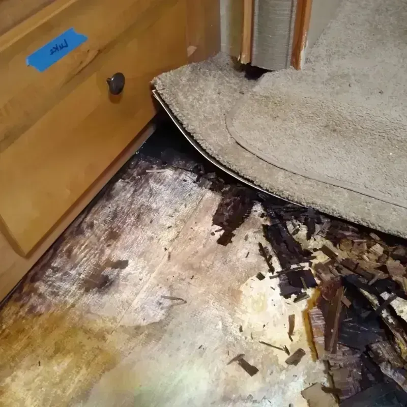 Wood Floor Water Damage in North Baltimore, OH